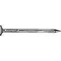CDBN